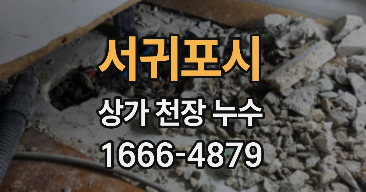 서귀포시 상가 천장 누수