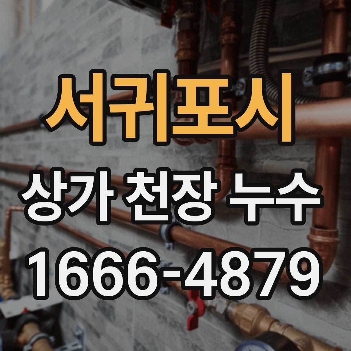서귀포시 상가 천장 누수