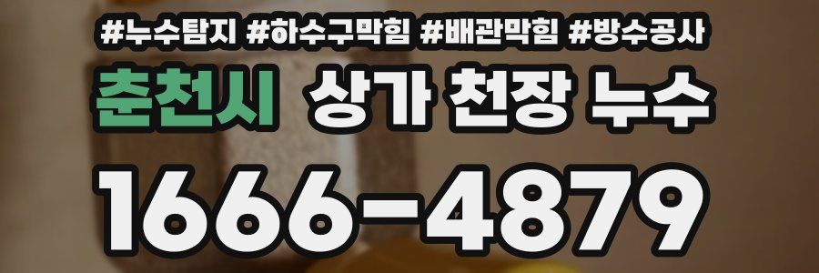 춘천시 상가 천장 누수