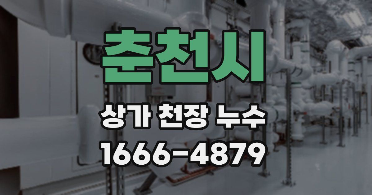 춘천시 상가 천장 누수