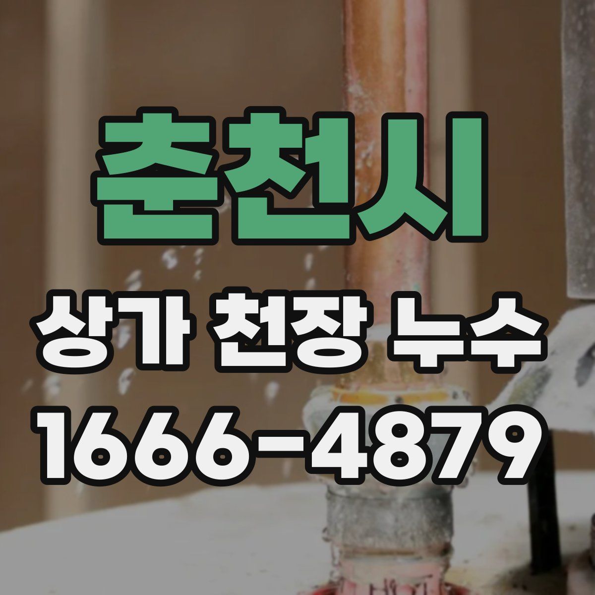 춘천시 상가 천장 누수
