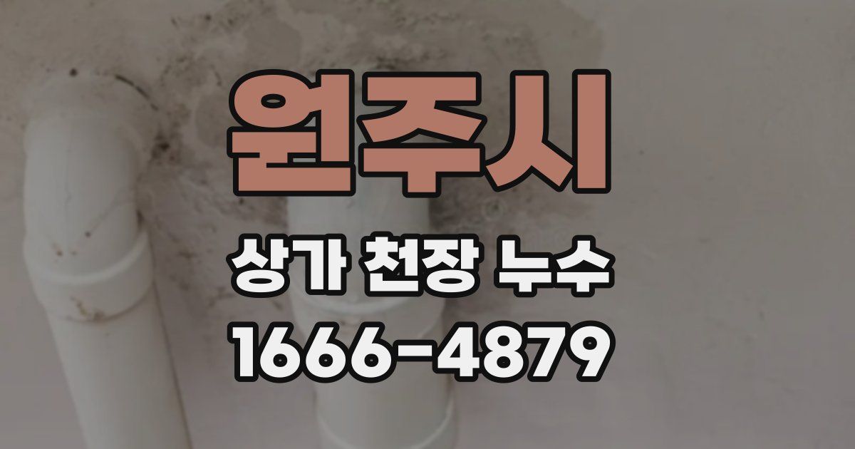 원주시 상가 천장 누수