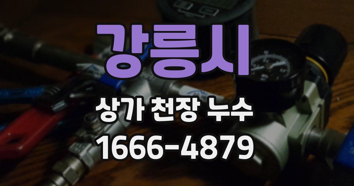 강릉시 상가 천장 누수
