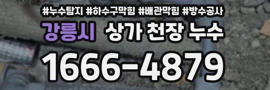 강릉시 상가 천장 누수