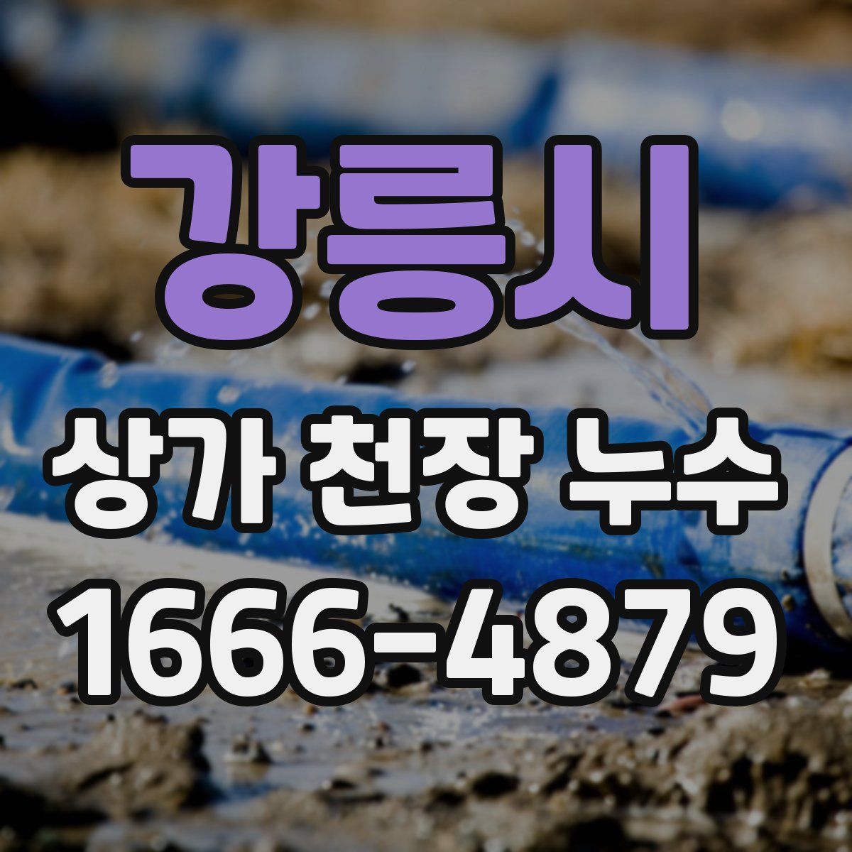 강릉시 상가 천장 누수
