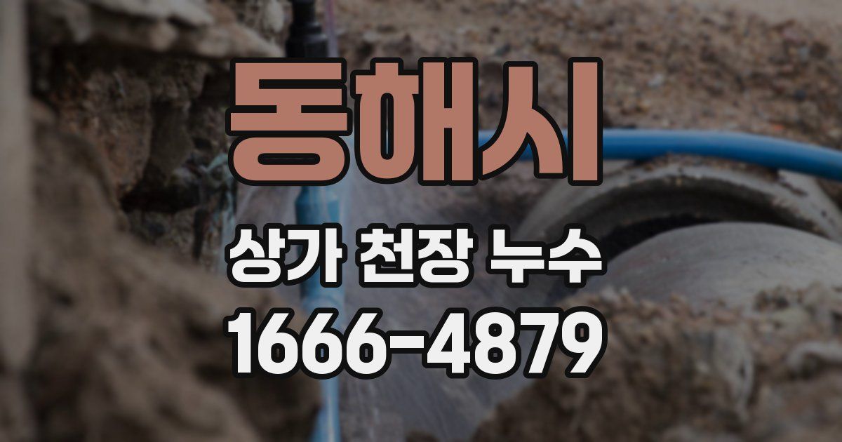 동해시 상가 천장 누수