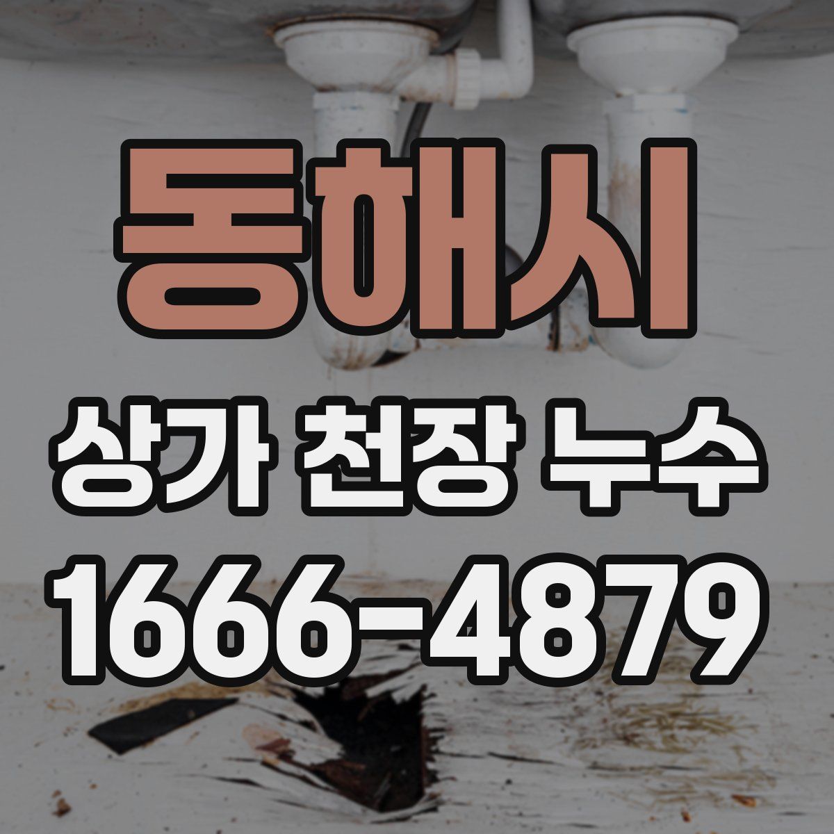 동해시 상가 천장 누수