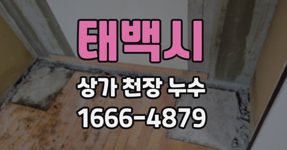 태백시 상가 천장 누수