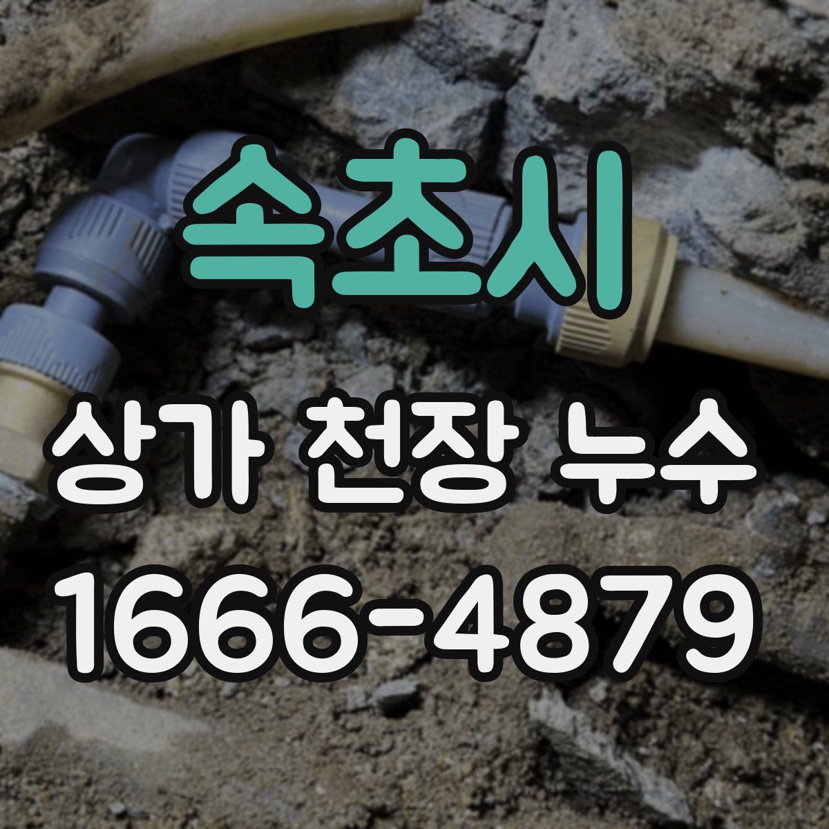 속초시 상가 천장 누수
