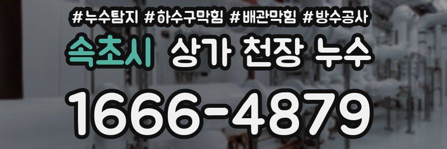 속초시 상가 천장 누수