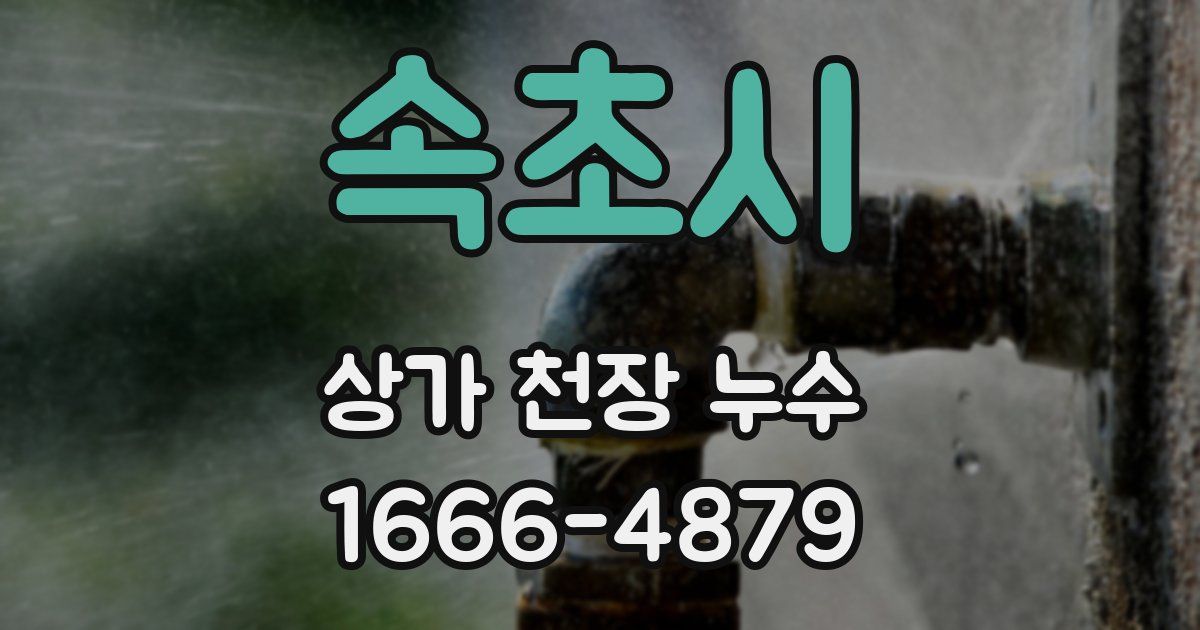 속초시 상가 천장 누수