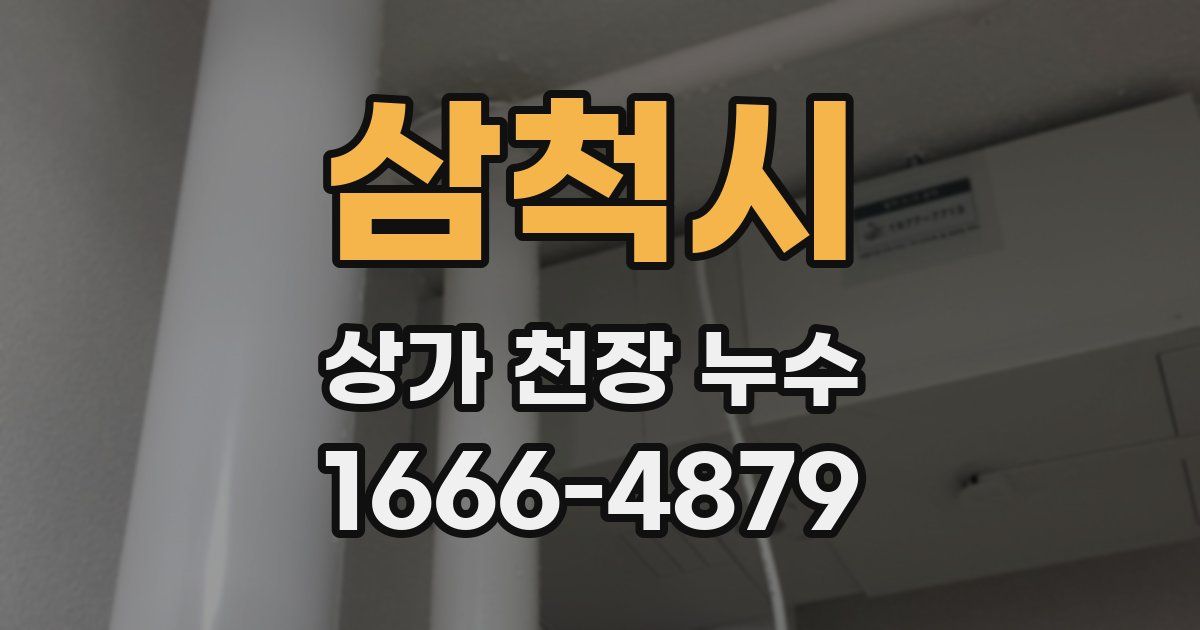삼척시 상가 천장 누수