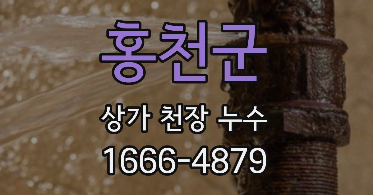 홍천군 상가 천장 누수