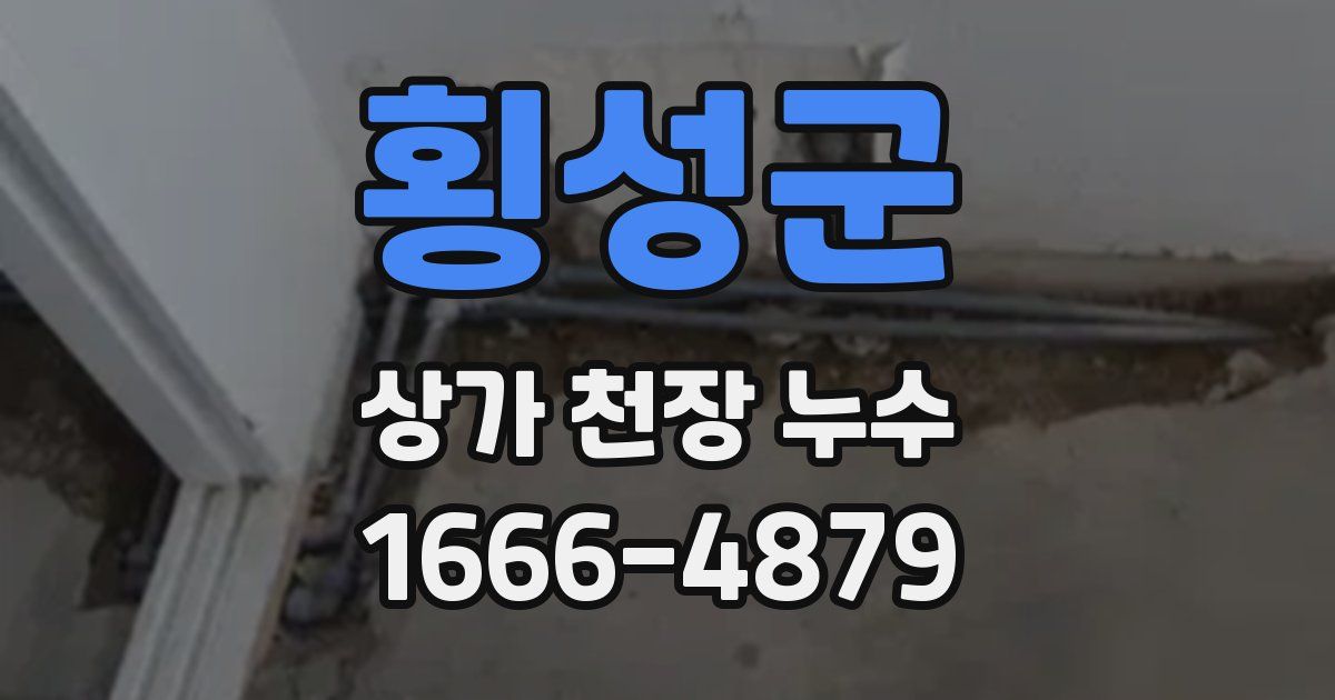 횡성군 상가 천장 누수