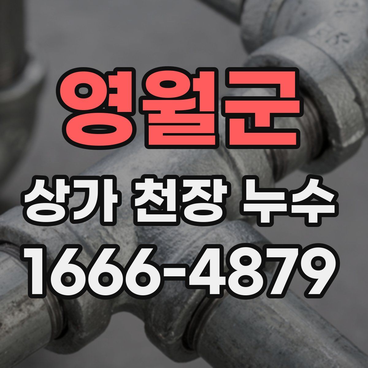 영월군 상가 천장 누수