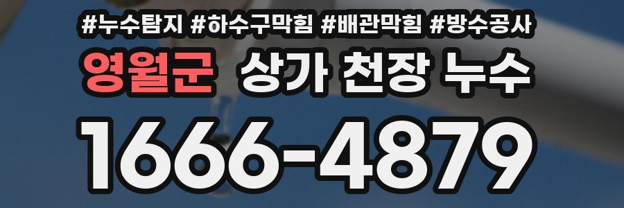 영월군 상가 천장 누수
