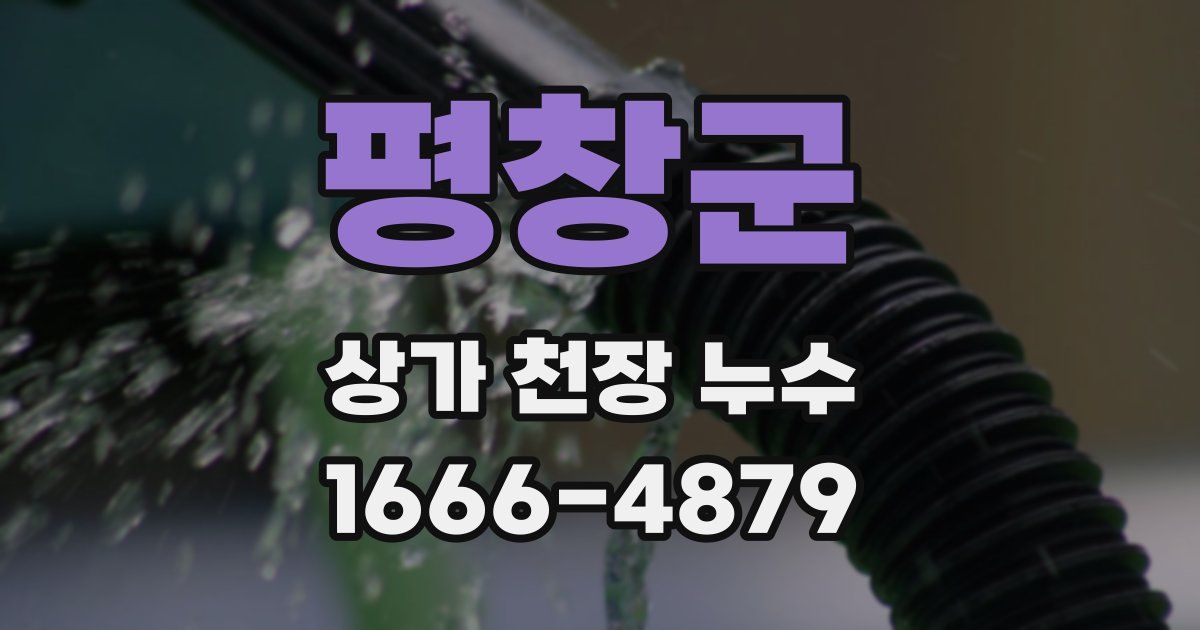 평창군 상가 천장 누수