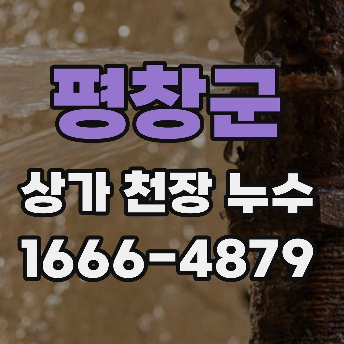 평창군 상가 천장 누수