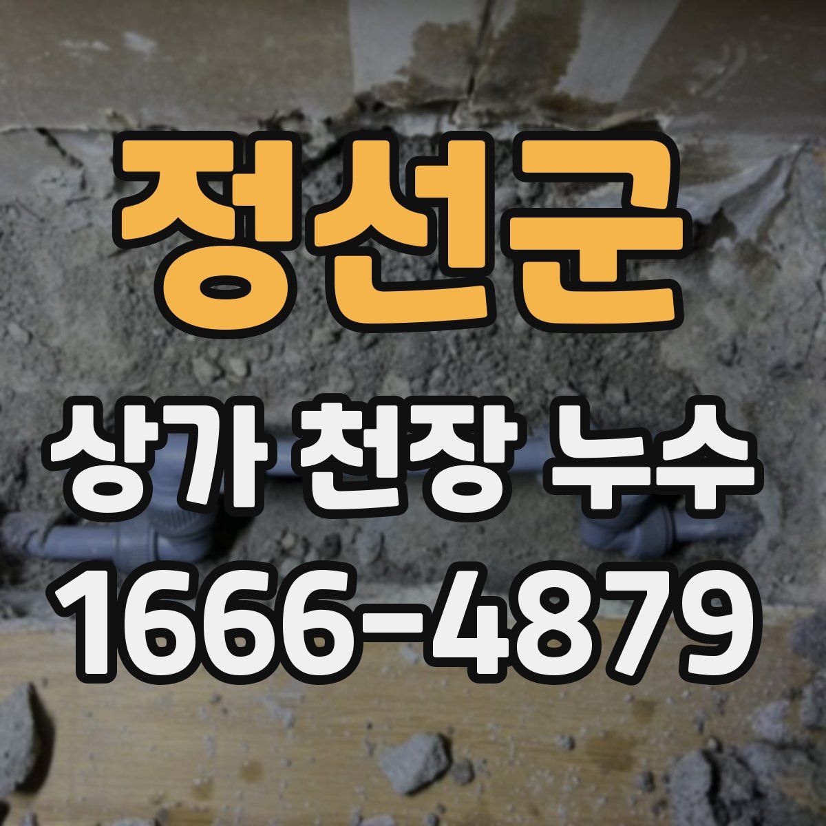 정선군 상가 천장 누수