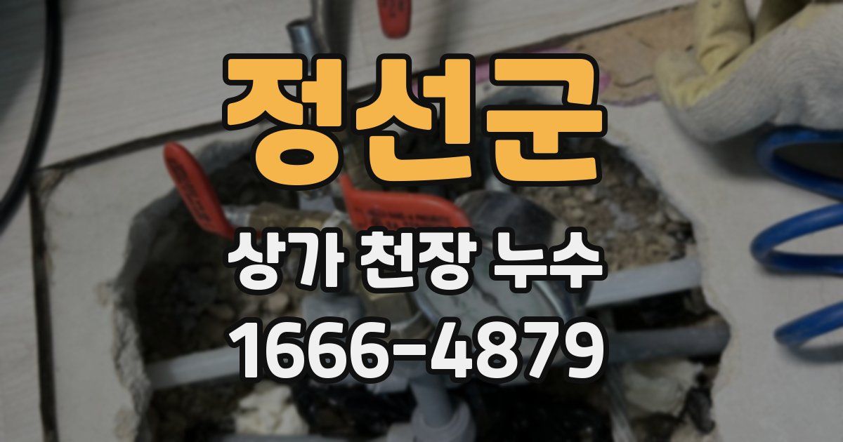 정선군 상가 천장 누수