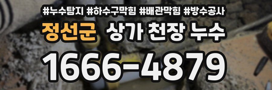 정선군 상가 천장 누수