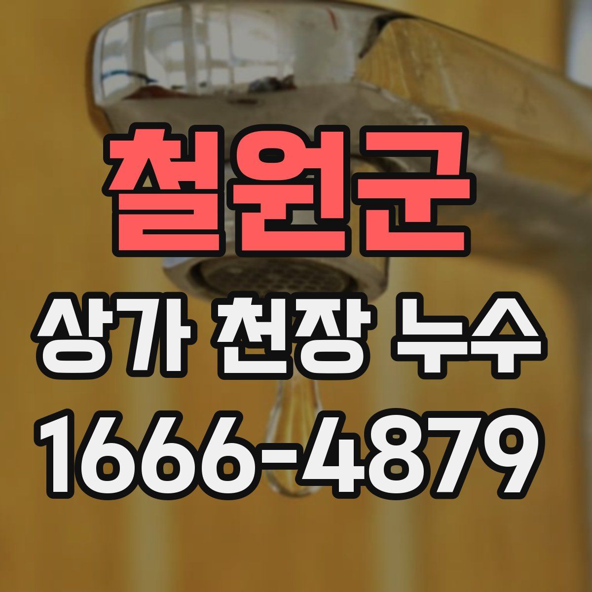 철원군 상가 천장 누수