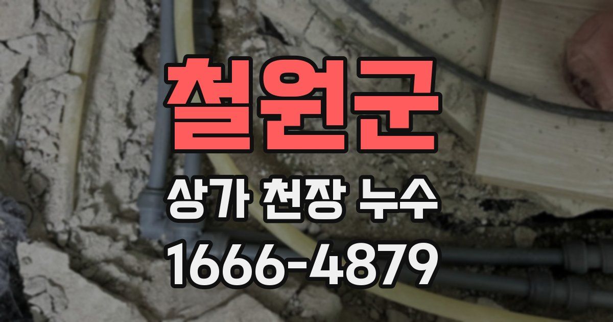 철원군 상가 천장 누수
