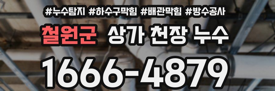 철원군 상가 천장 누수