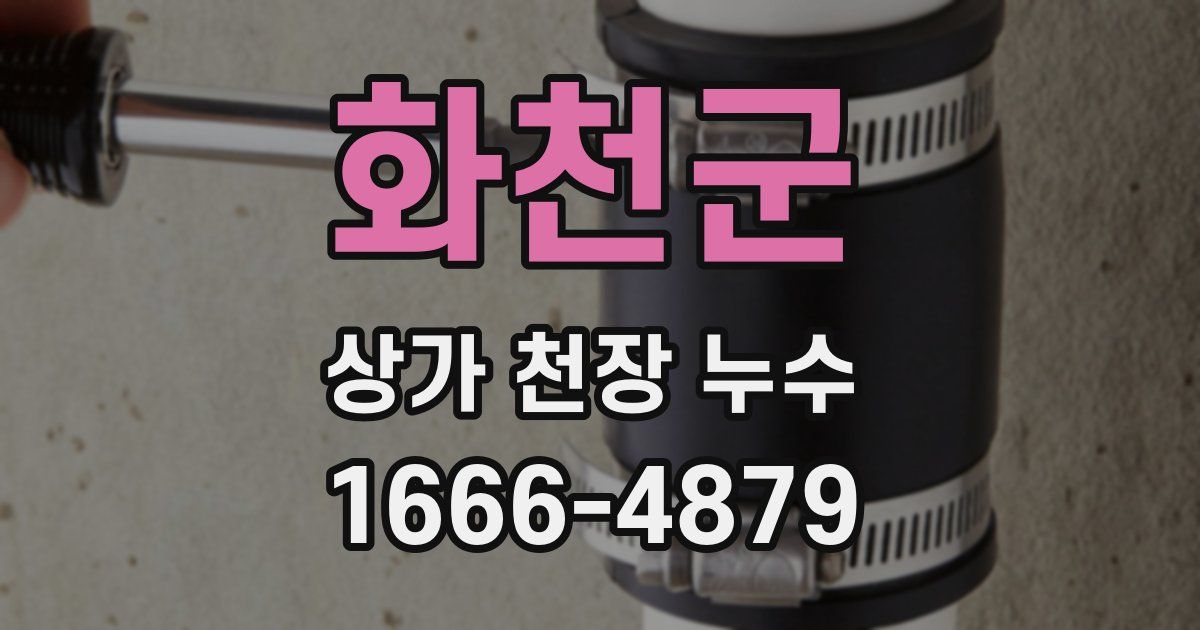 화천군 상가 천장 누수