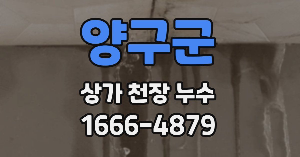양구군 상가 천장 누수
