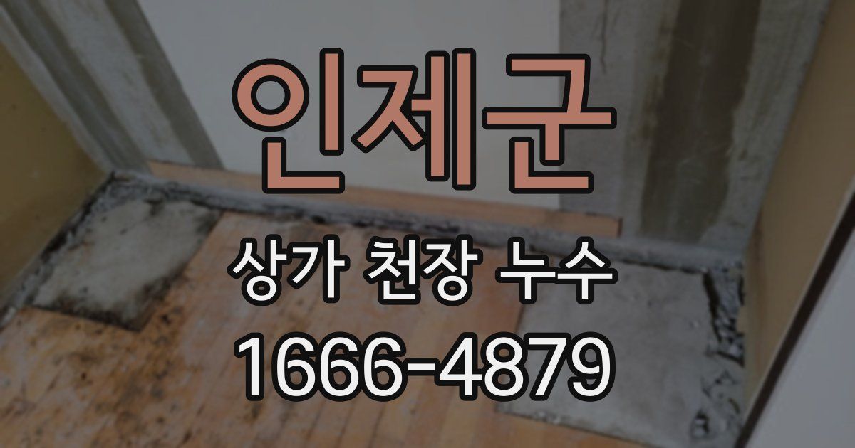 인제군 상가 천장 누수