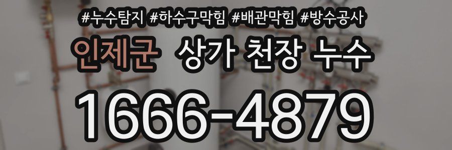 인제군 상가 천장 누수