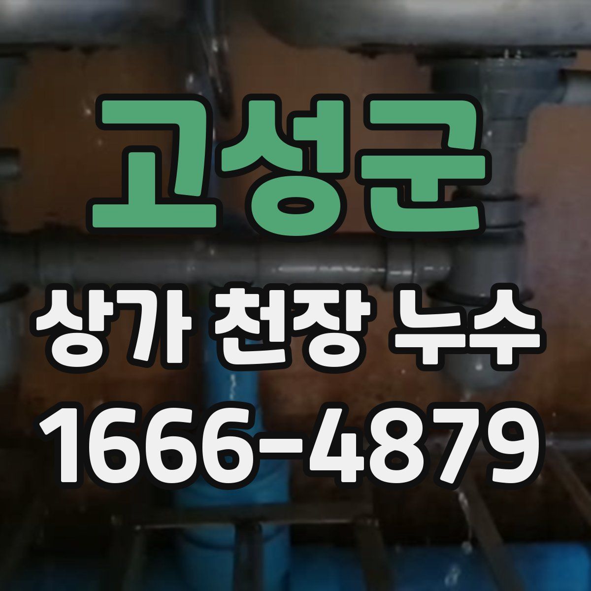 고성군 상가 천장 누수