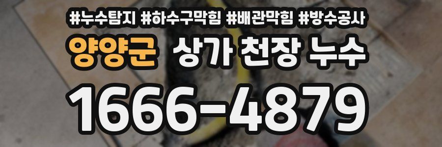 양양군 상가 천장 누수