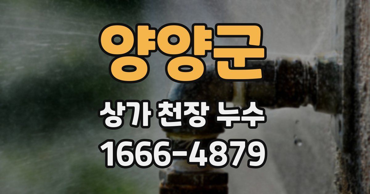 양양군 상가 천장 누수