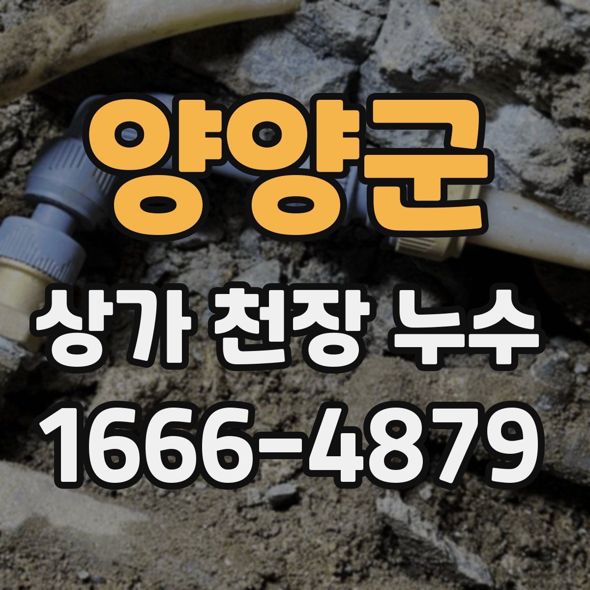 양양군 상가 천장 누수