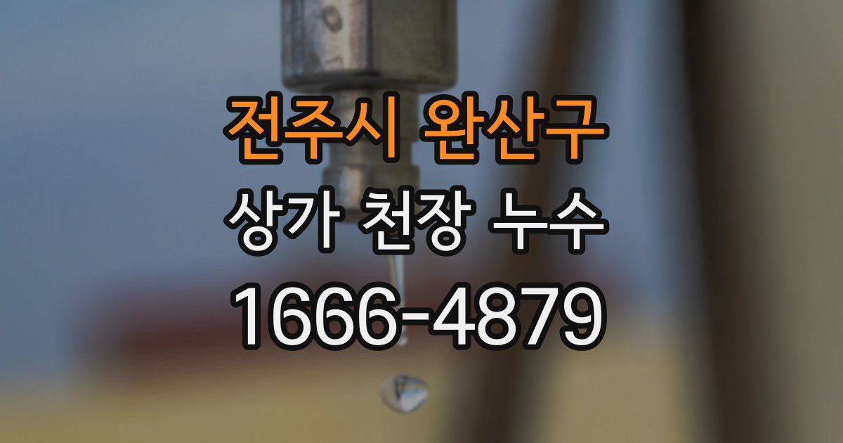 전주시 완산구 상가 천장 누수