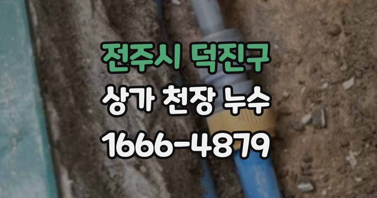 전주시 덕진구 상가 천장 누수