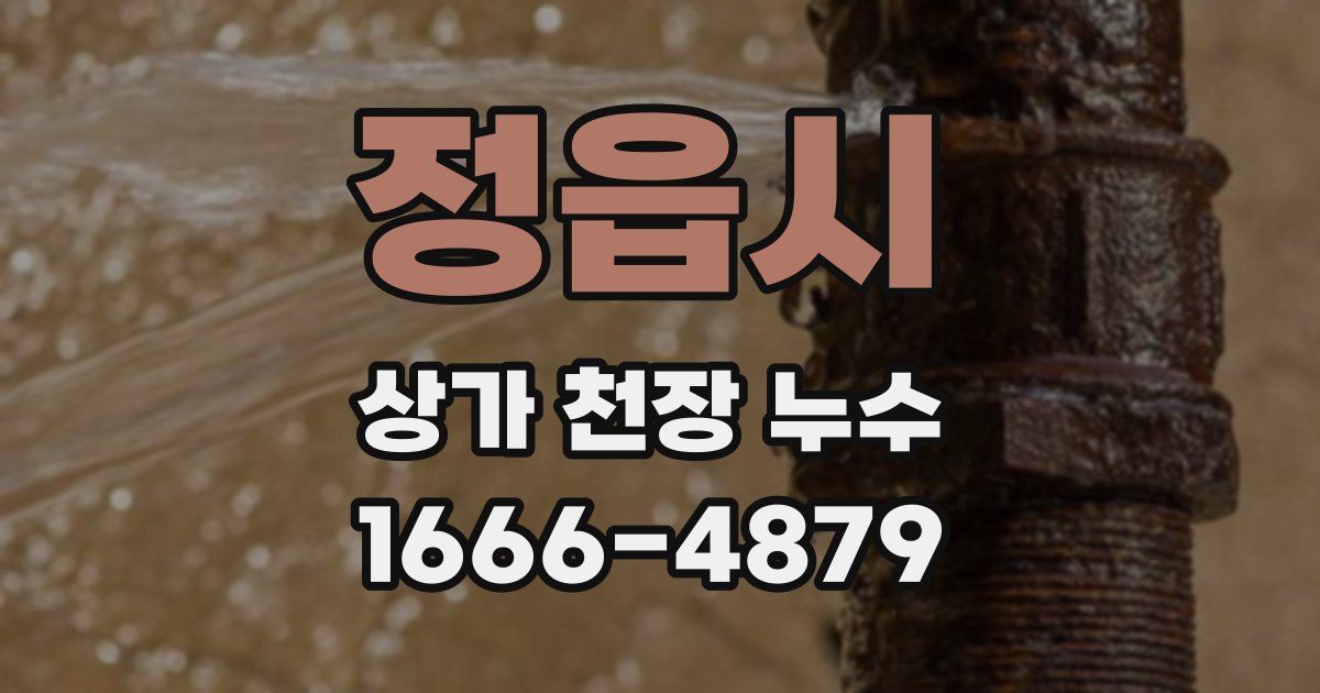 정읍시 상가 천장 누수