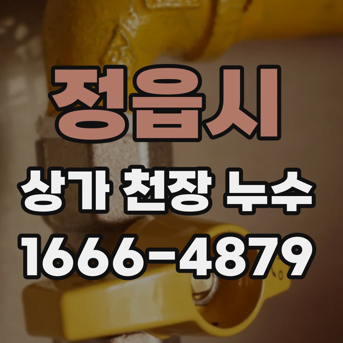 정읍시 상가 천장 누수