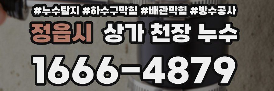 정읍시 상가 천장 누수