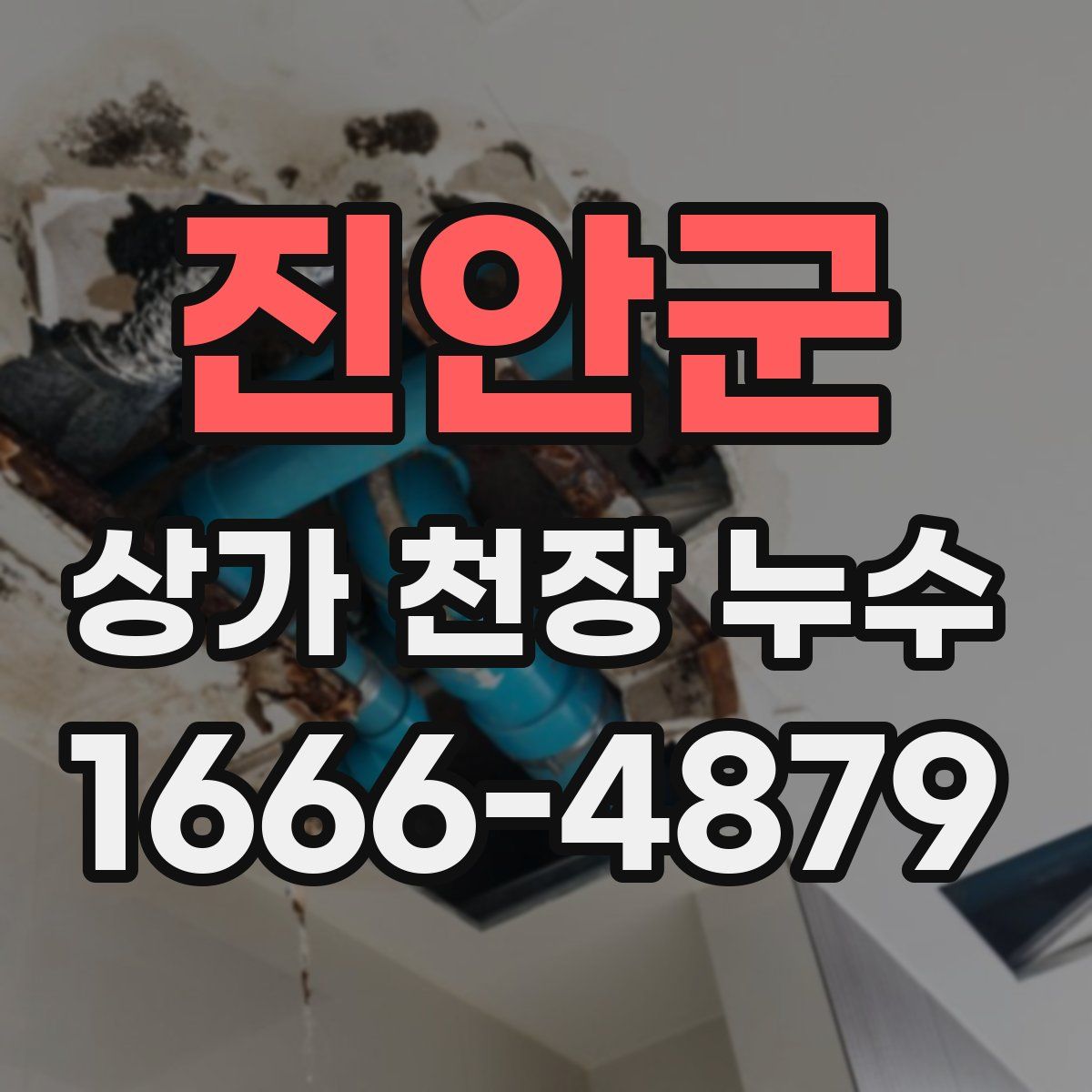 진안군 상가 천장 누수