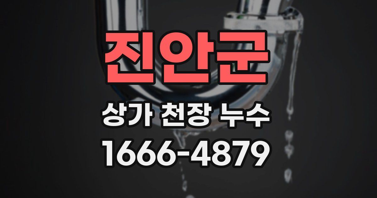 진안군 상가 천장 누수