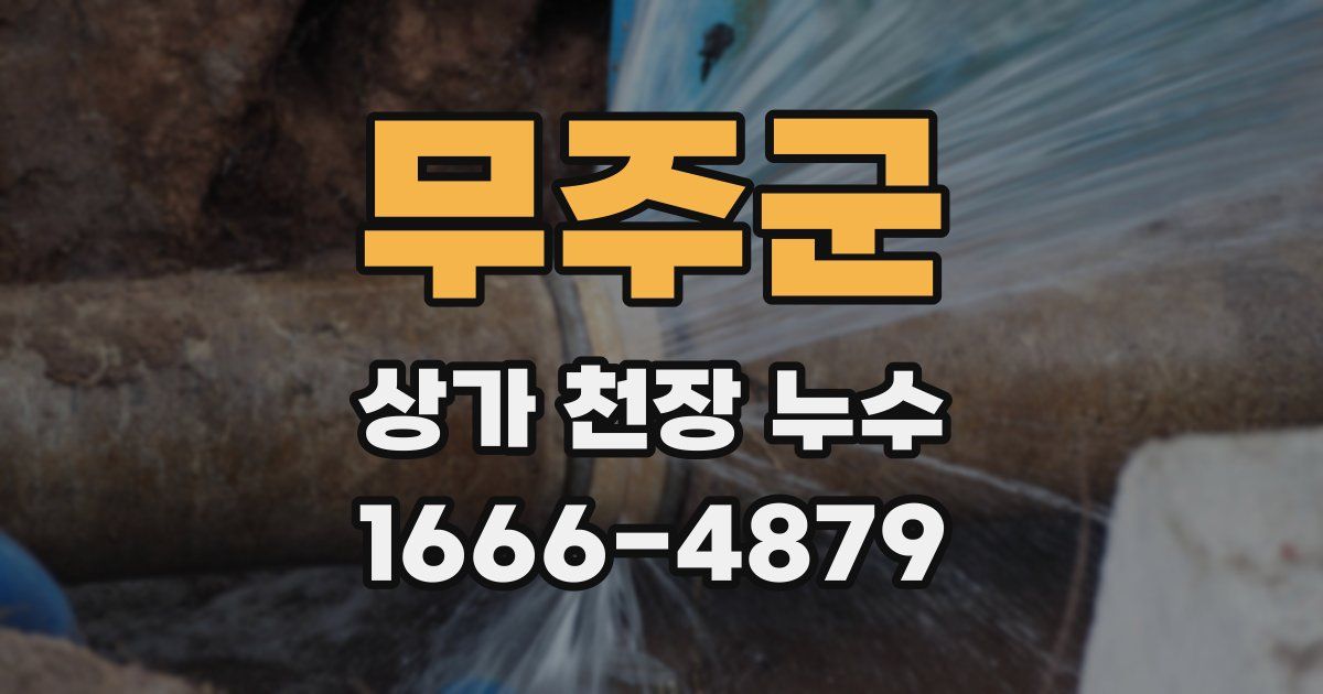 무주군 상가 천장 누수