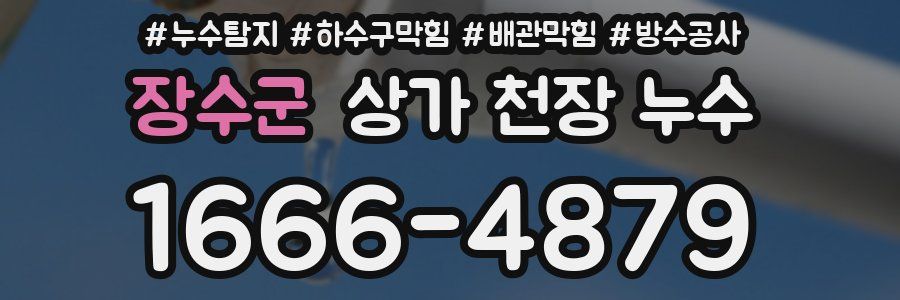장수군 상가 천장 누수