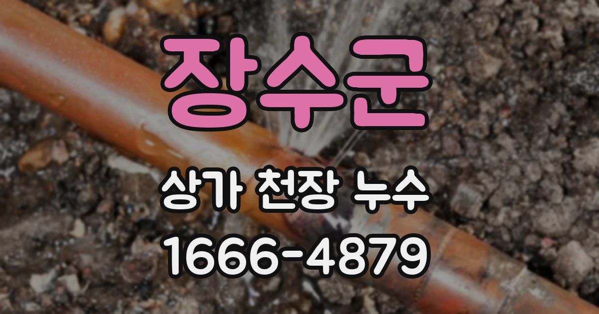 장수군 상가 천장 누수