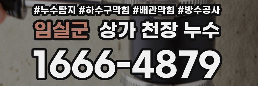 임실군 상가 천장 누수