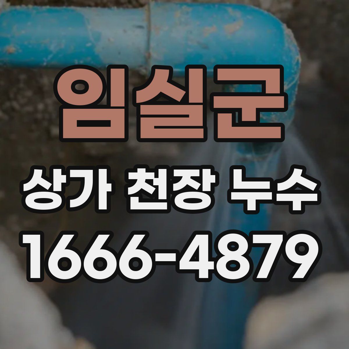 임실군 상가 천장 누수