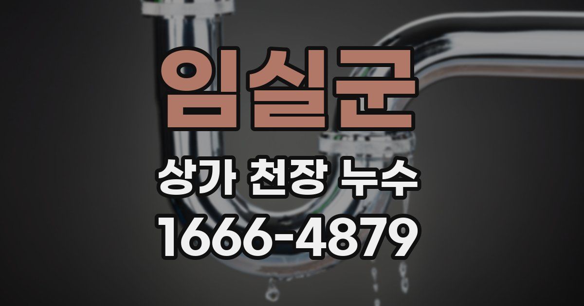 임실군 상가 천장 누수