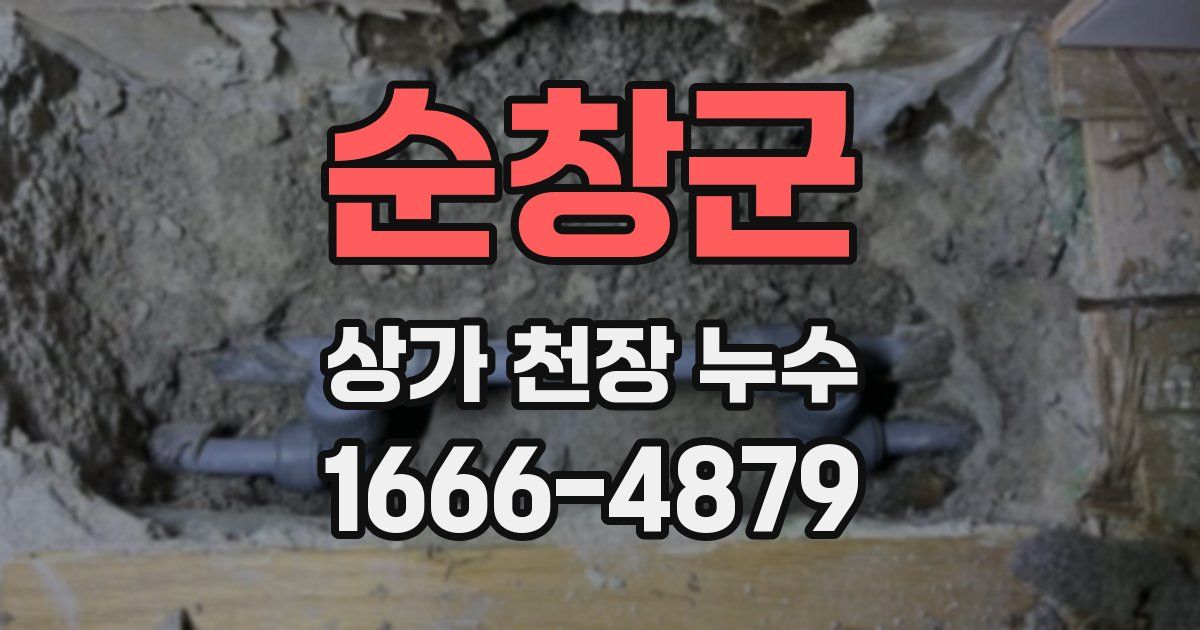 순창군 상가 천장 누수